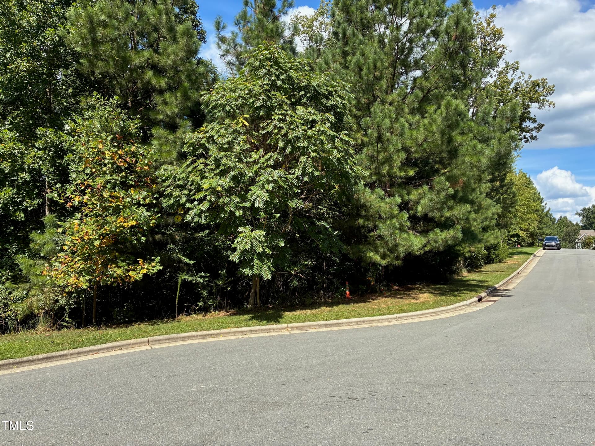 IMG_3811 - 48 Sweet Meadow Lane, Pittsboro, NC 27312