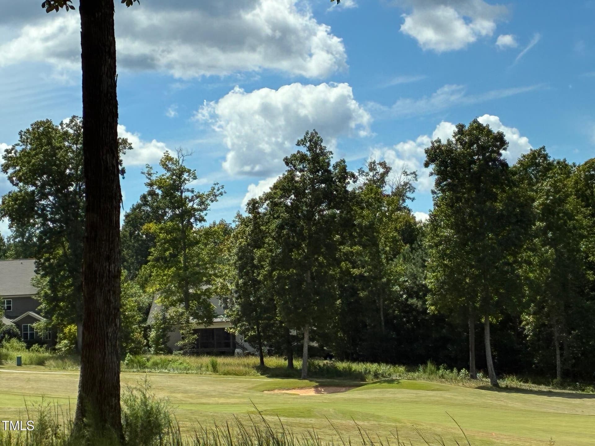 IMG_3818 - 48 Sweet Meadow Lane, Pittsboro, NC 27312