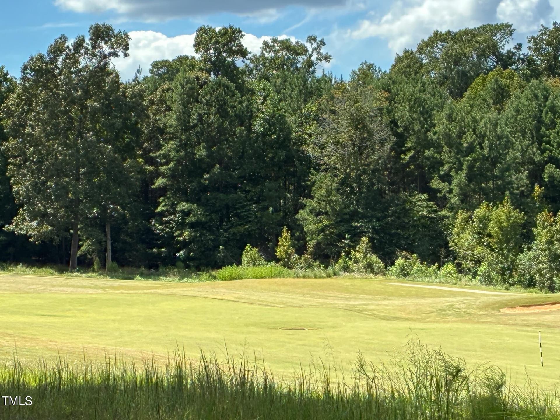 IMG_3820 - 48 Sweet Meadow Lane, Pittsboro, NC 27312