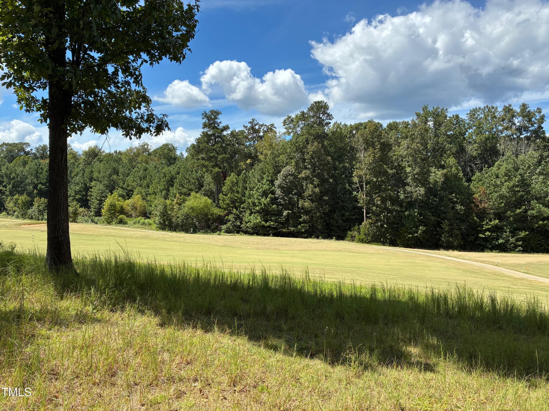 IMG_3821 - 48 Sweet Meadow Lane, Pittsboro, NC 27312