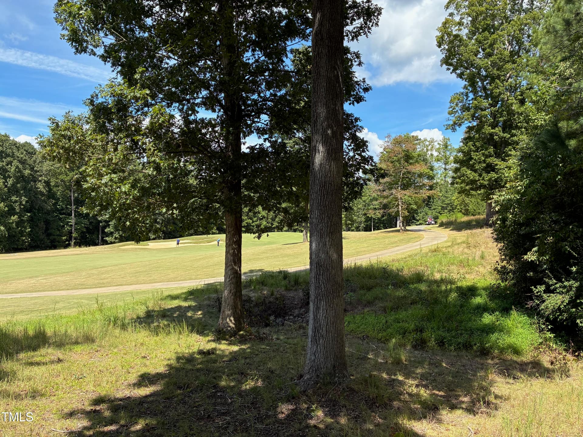 IMG_3822 - 48 Sweet Meadow Lane, Pittsboro, NC 27312