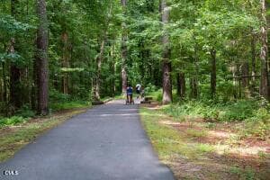 Brookside 26 - 1104 Palisade Bluff Lane, Apex, NC 27502