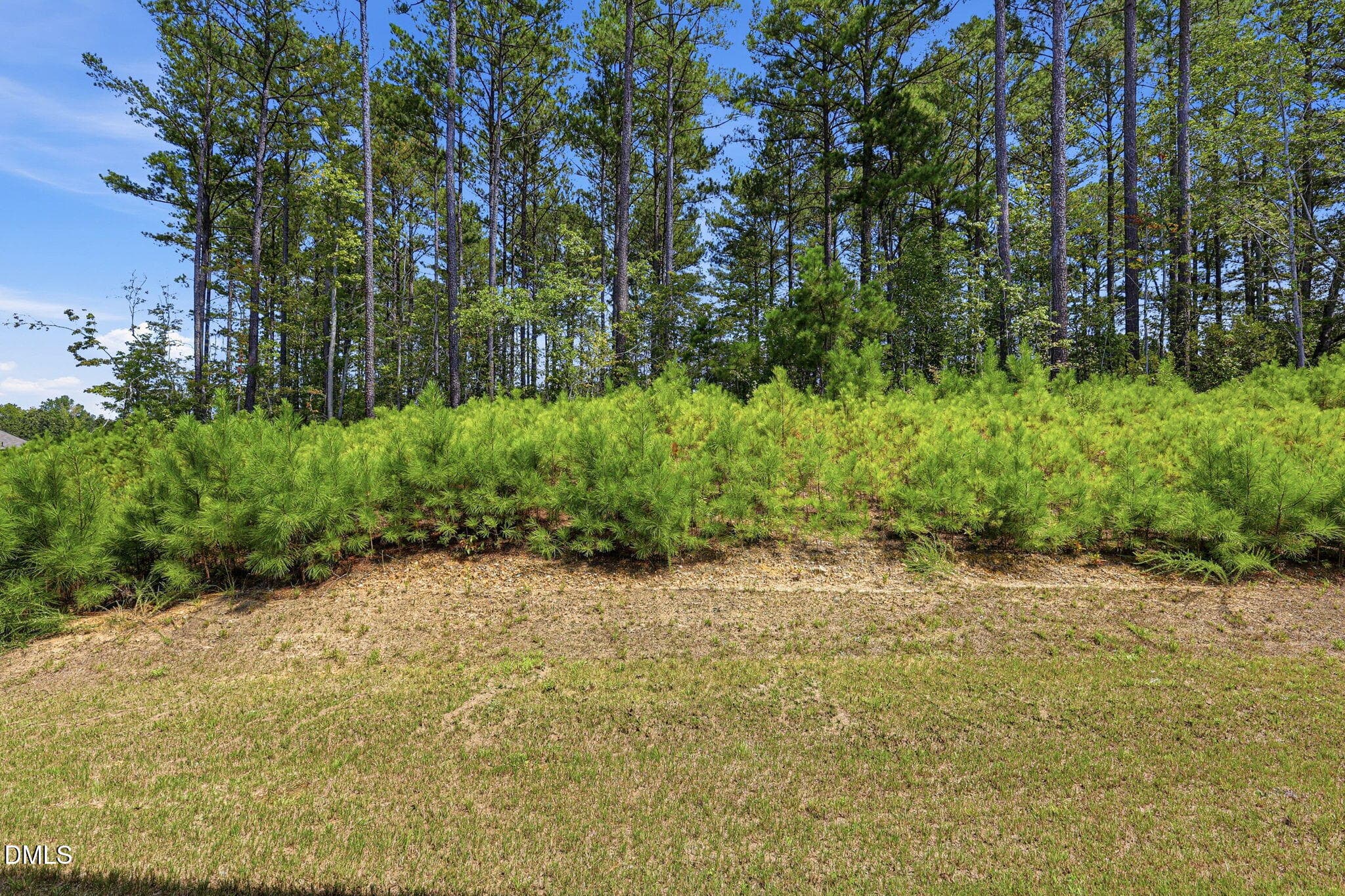 ListerPros_022 - 210 New Villas Street, Angier, NC 27501, Angier