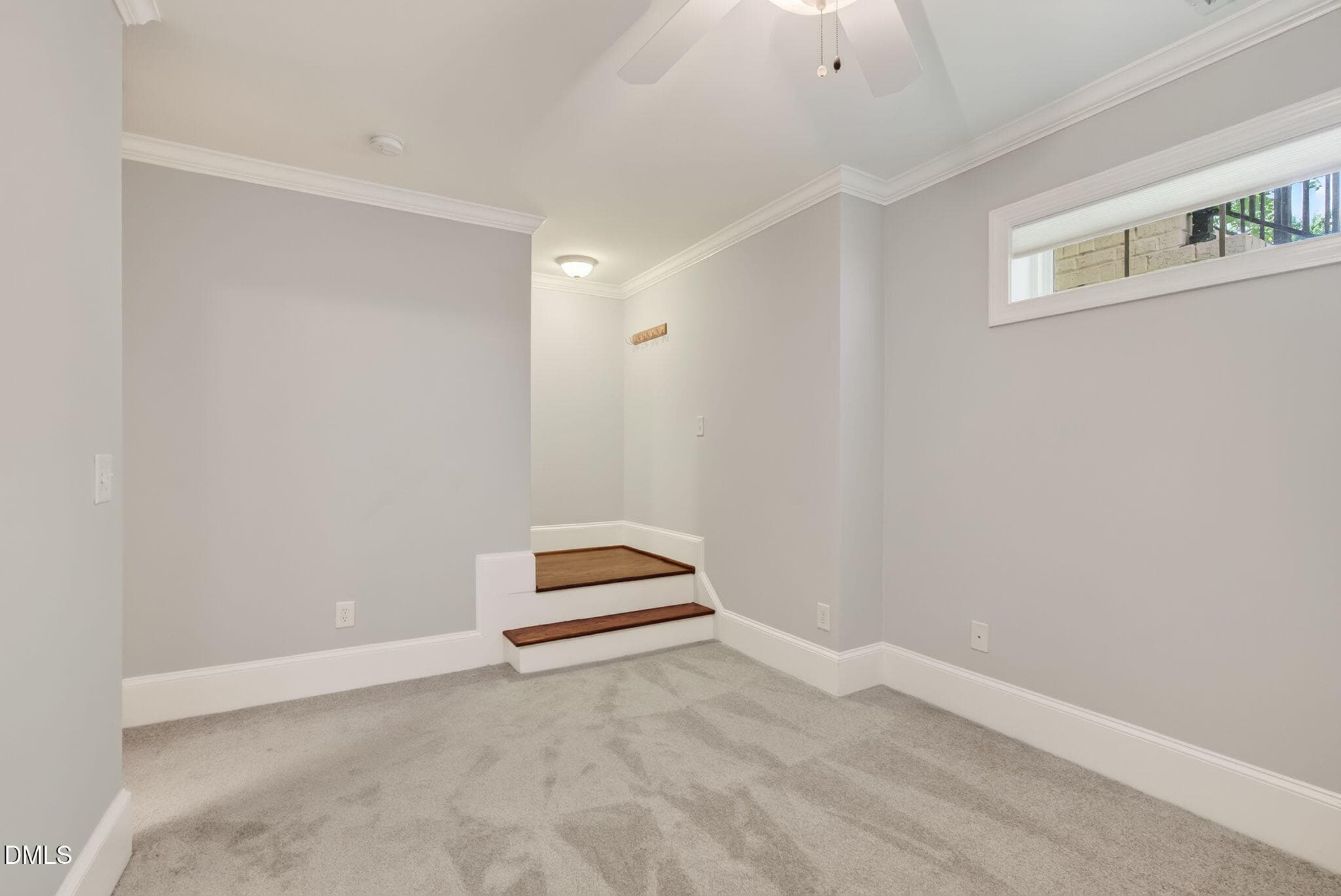 Flex Room/Lower - 142 Finsbury Street, Durham, NC 27703, Durham