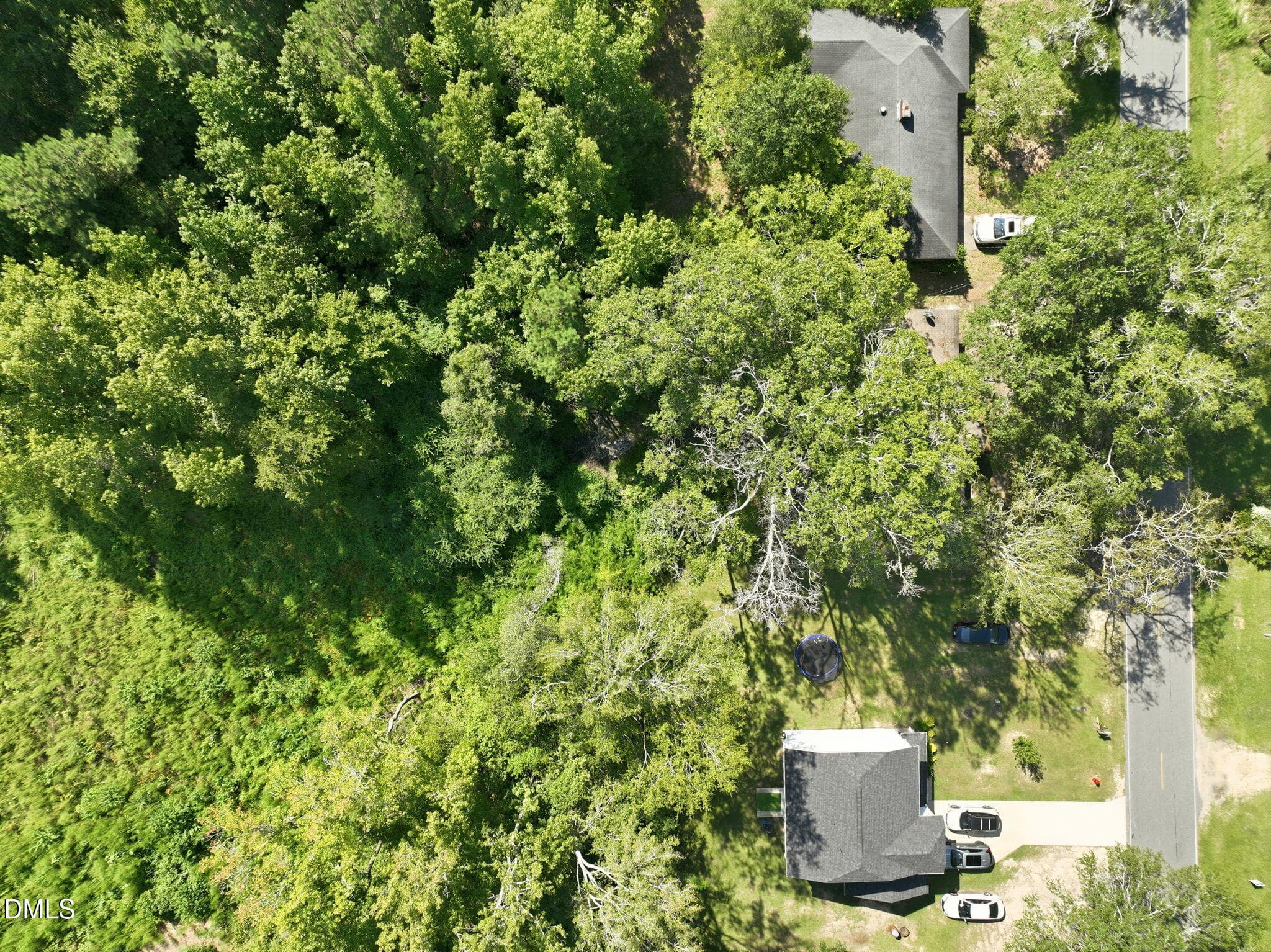 7-web-or-mls-DJI_0359 - 207 Pendergraft Road, Bunnlevel, NC 28323
