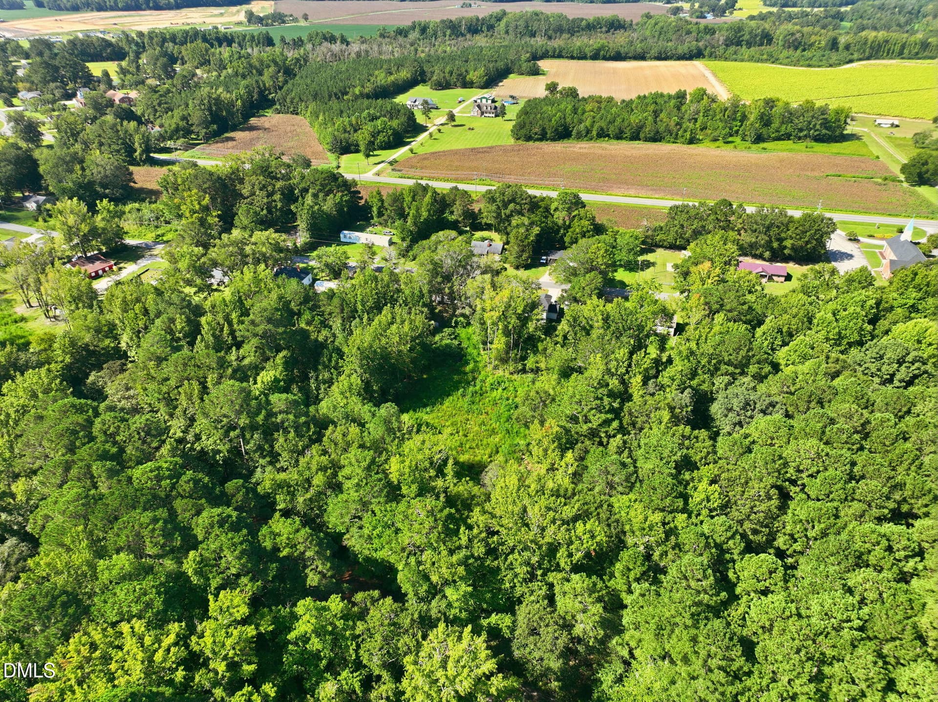 9-web-or-mls-DJI_0361 - 207 Pendergraft Road, Bunnlevel, NC 28323