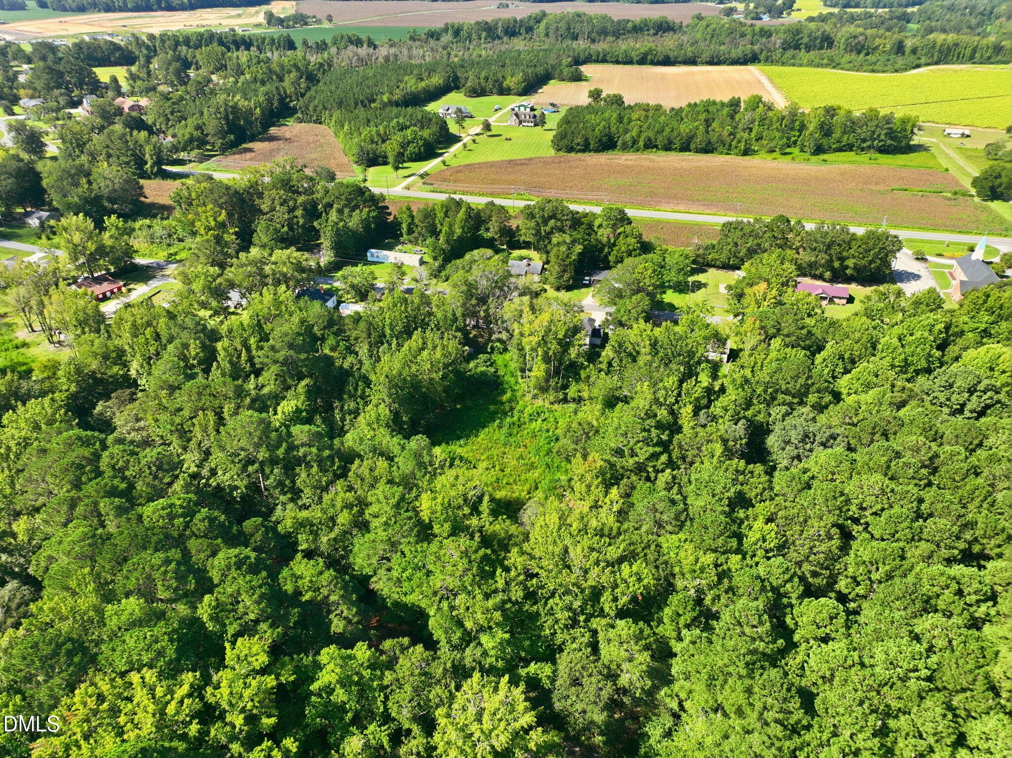 9-web-or-mls-DJI_0361 - 207 Pendergraft Road, Bunnlevel, NC 28323