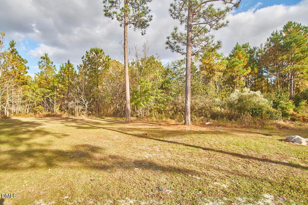 011 - 125 Harley Lane, Dunn, NC 28334, Dunn