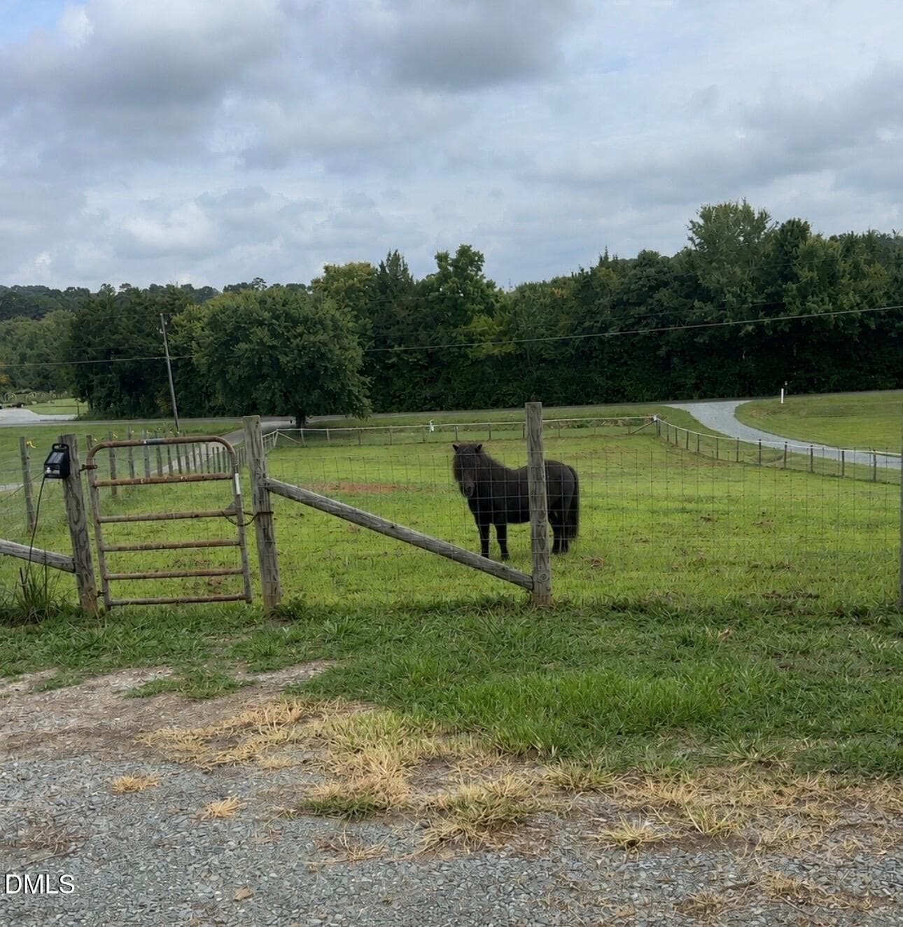 IMG_3523 - 4872 Thom Road, Mebane, NC 27302, Mebane