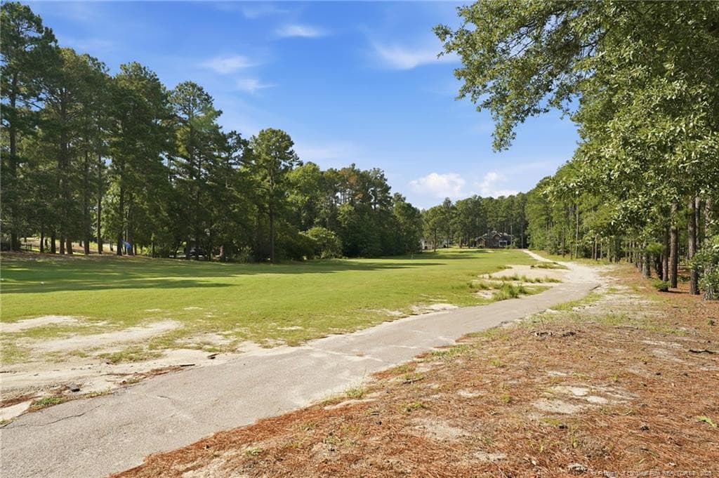 Photo 41 - 30000 Loblolly Court, Wagram, NC 28396