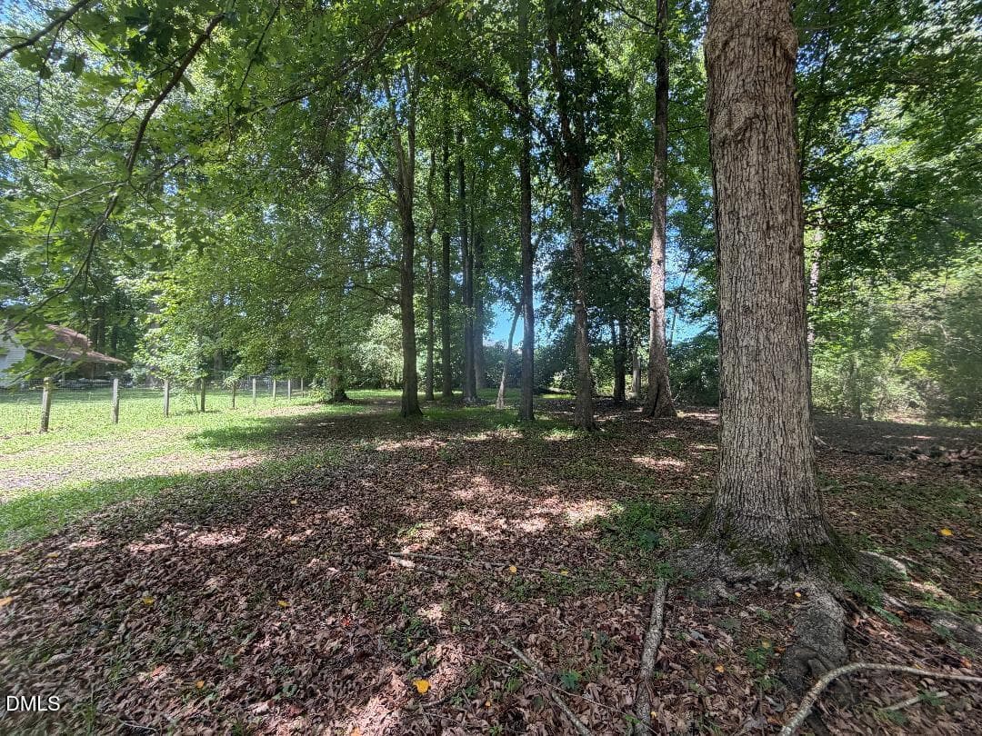 jan back yard - 263 Jan Street, Angier, NC 27501