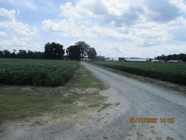 Photo 6 - 382 Pig Cradle Lane, Clinton, NC 28328