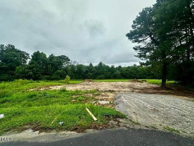 Current Status - 150 Deep Blue Trail, Middlesex, NC 27557
