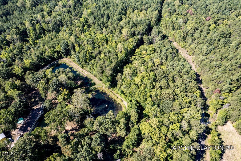 MLS_Archie Clayton Rd-8 - 0 Archie Clayton Road, Roxboro, NC 27574