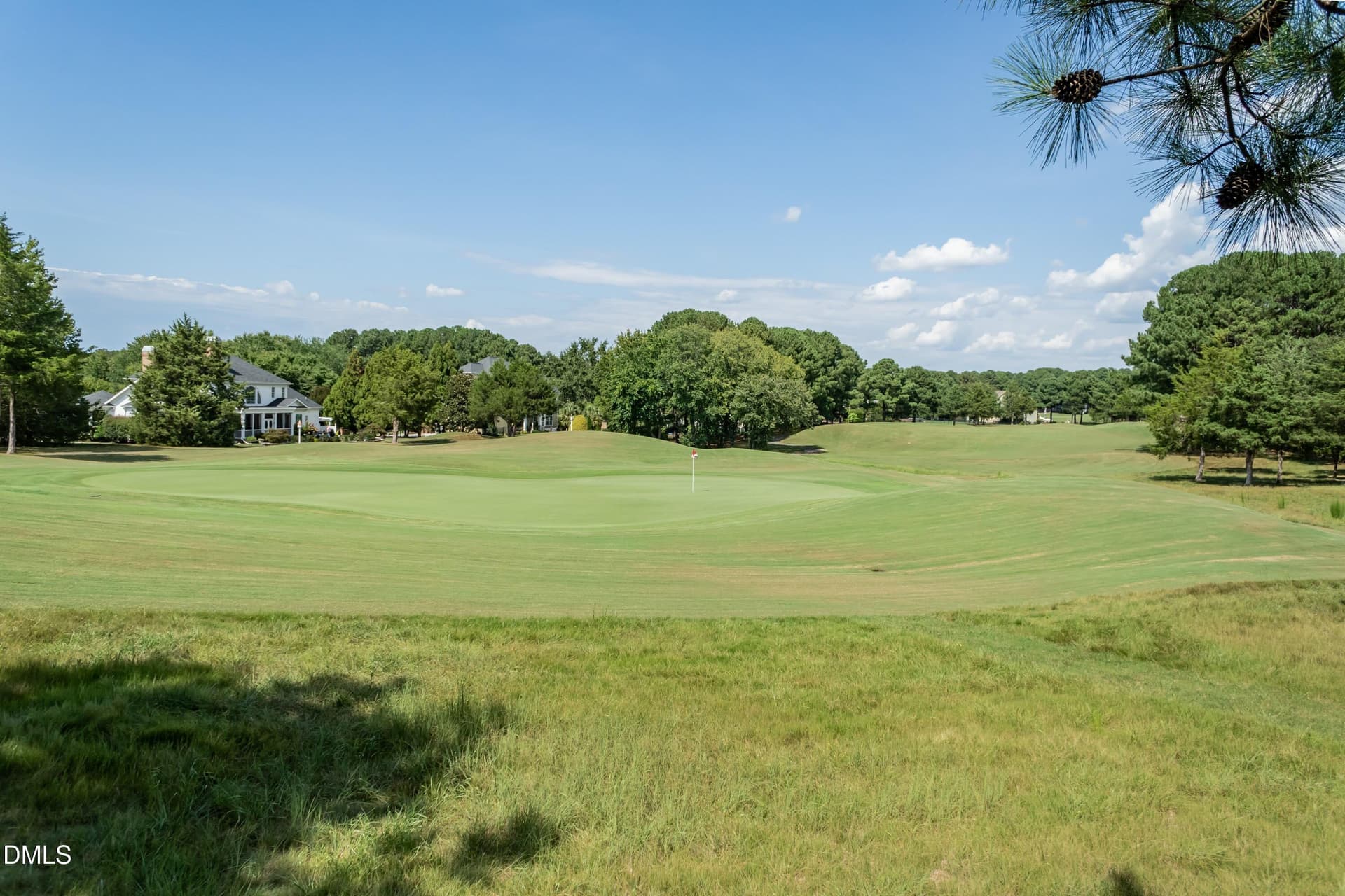 Golf 01 - 1313 Marshall Farm Street, Wake Forest, NC 27587