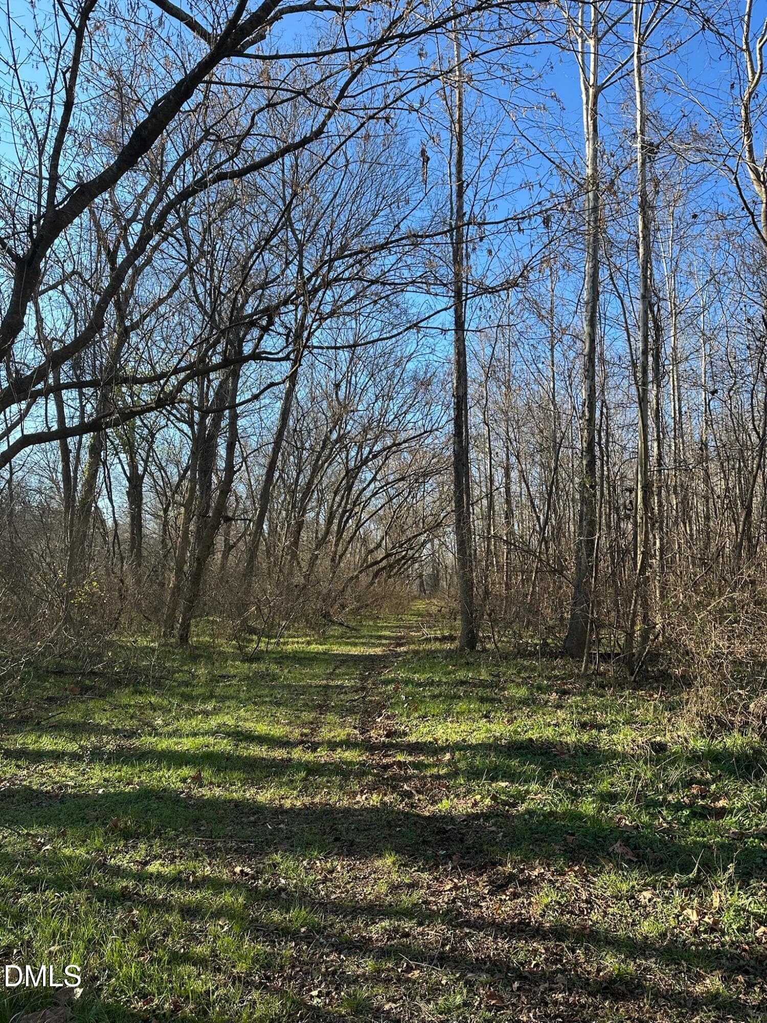 IMG_3081 - 6061 River Run Trail, Graham, NC 27253