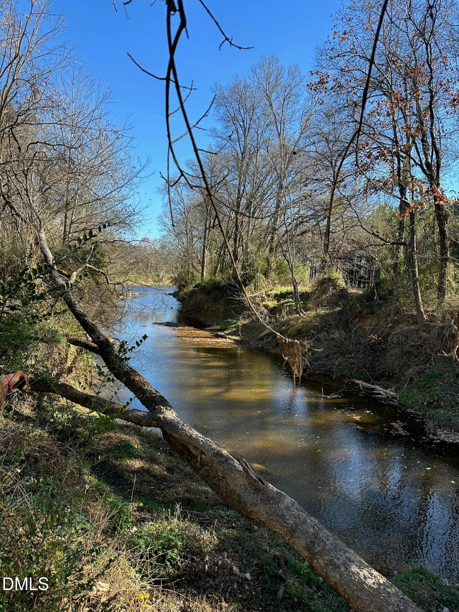 IMG_2684 - 6061 River Run Trail, Graham, NC 27253