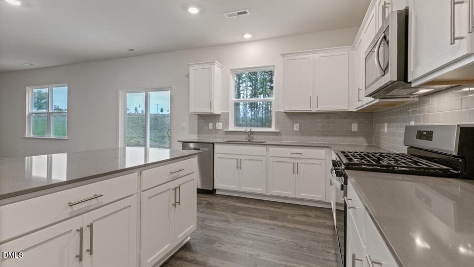 KITCHEN - 709 Sparkling Pear Drive, Willow Springs, NC 27592, Willow Springs