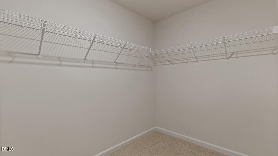 CLOSET - 709 Sparkling Pear Drive, Willow Springs, NC 27592