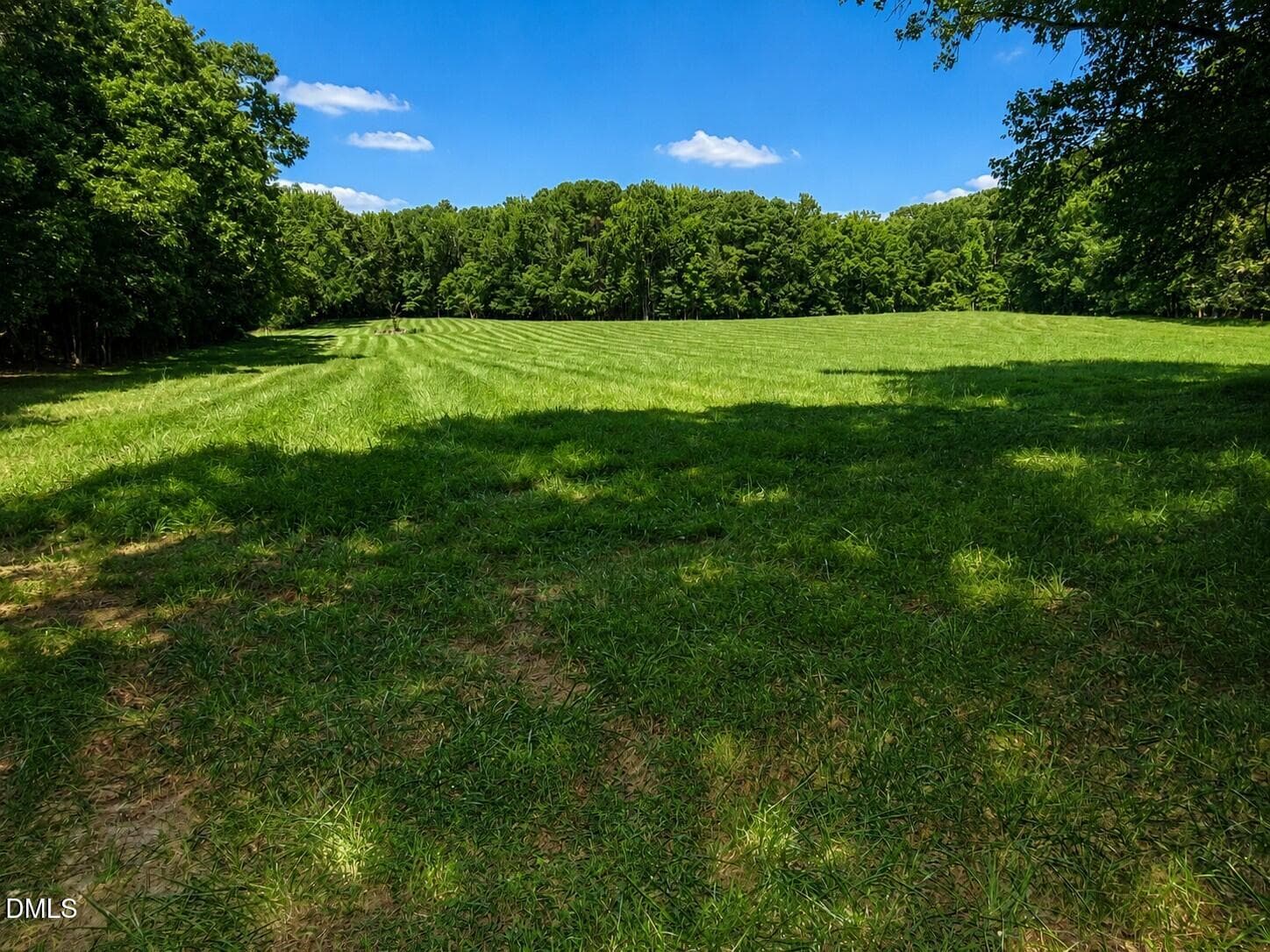 Field view - 1290 Spring Valley Road, Henderson, NC 27537