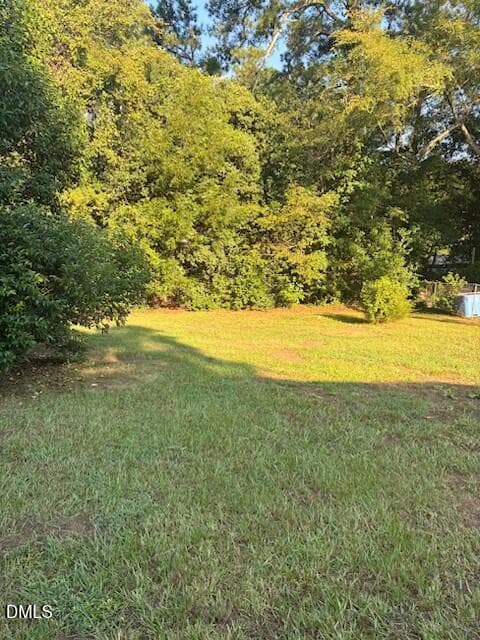 back yard-108 Lumpkin - 108 Lumpkin Street, Raleigh, NC 27610, Raleigh
