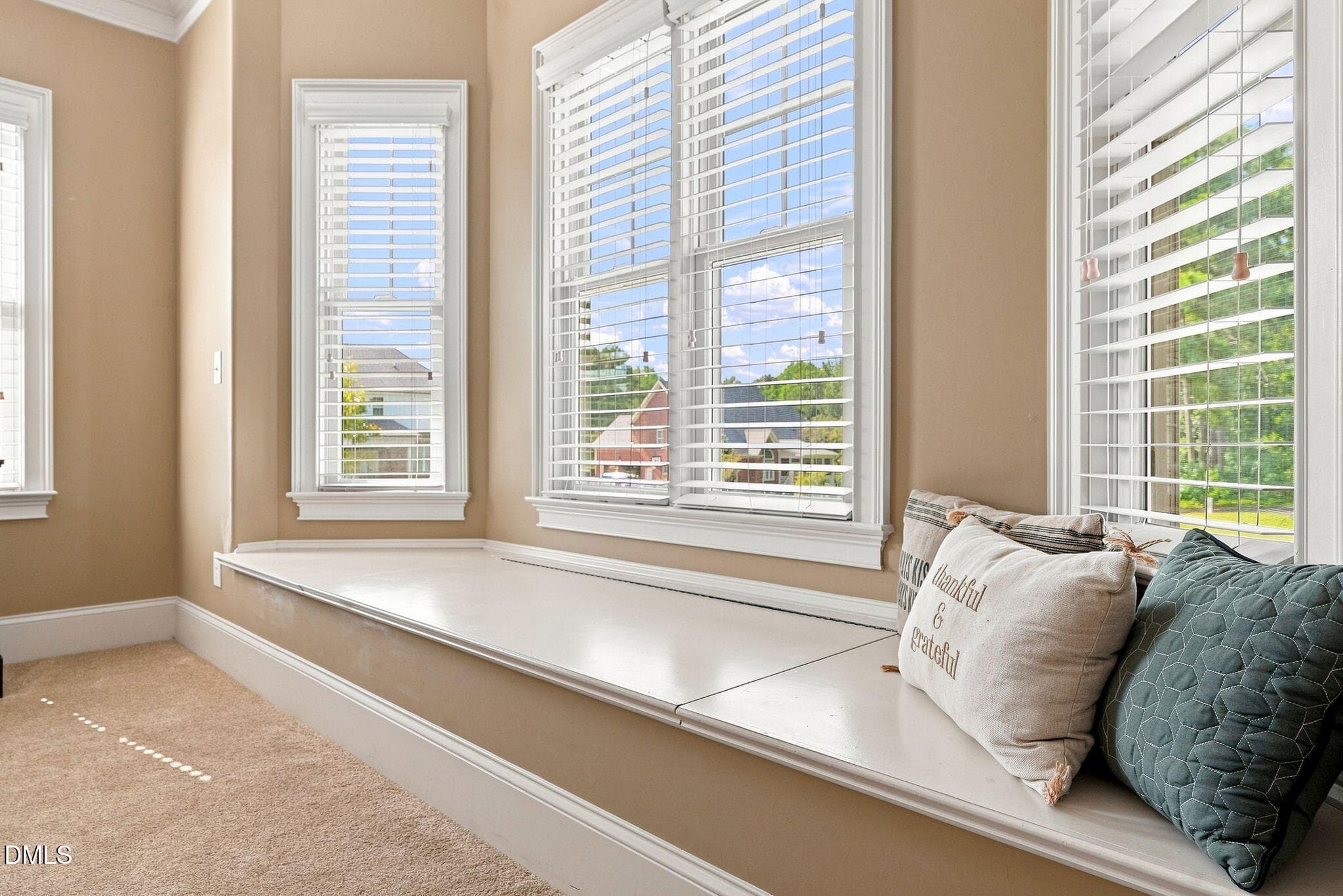 23 E Paige Wynd Drive-46 - 23 E Paige Wynd Drive, Angier, NC 27501, Angier