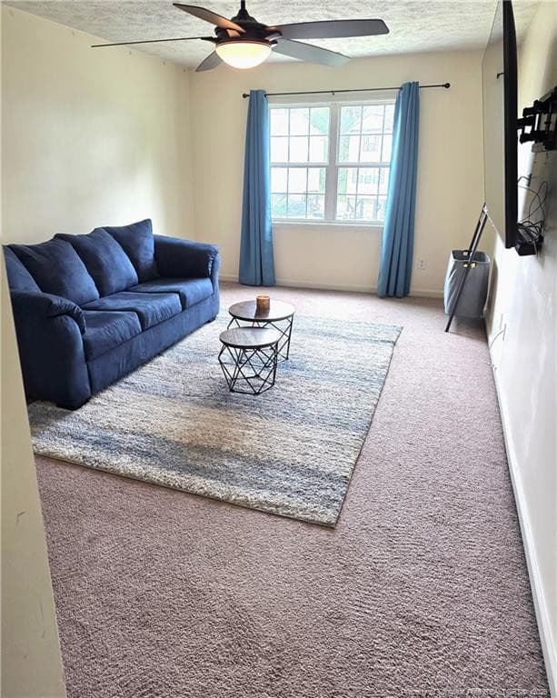 Photo 27 - 1232 Jereens Creek Road, Fayetteville, NC 28312, Fayetteville