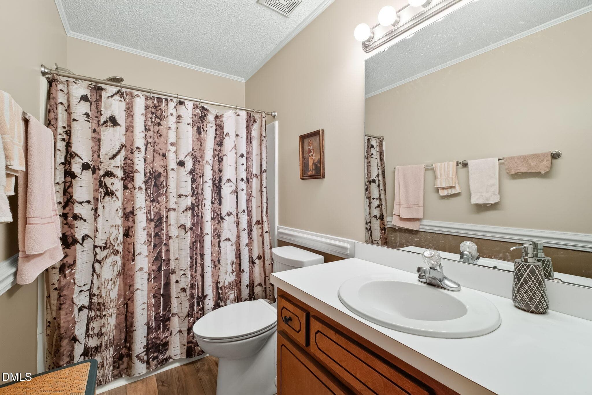 12-web-or-mls-DSC05193 - 113 Crosswinds Drive, Selma, NC 27576