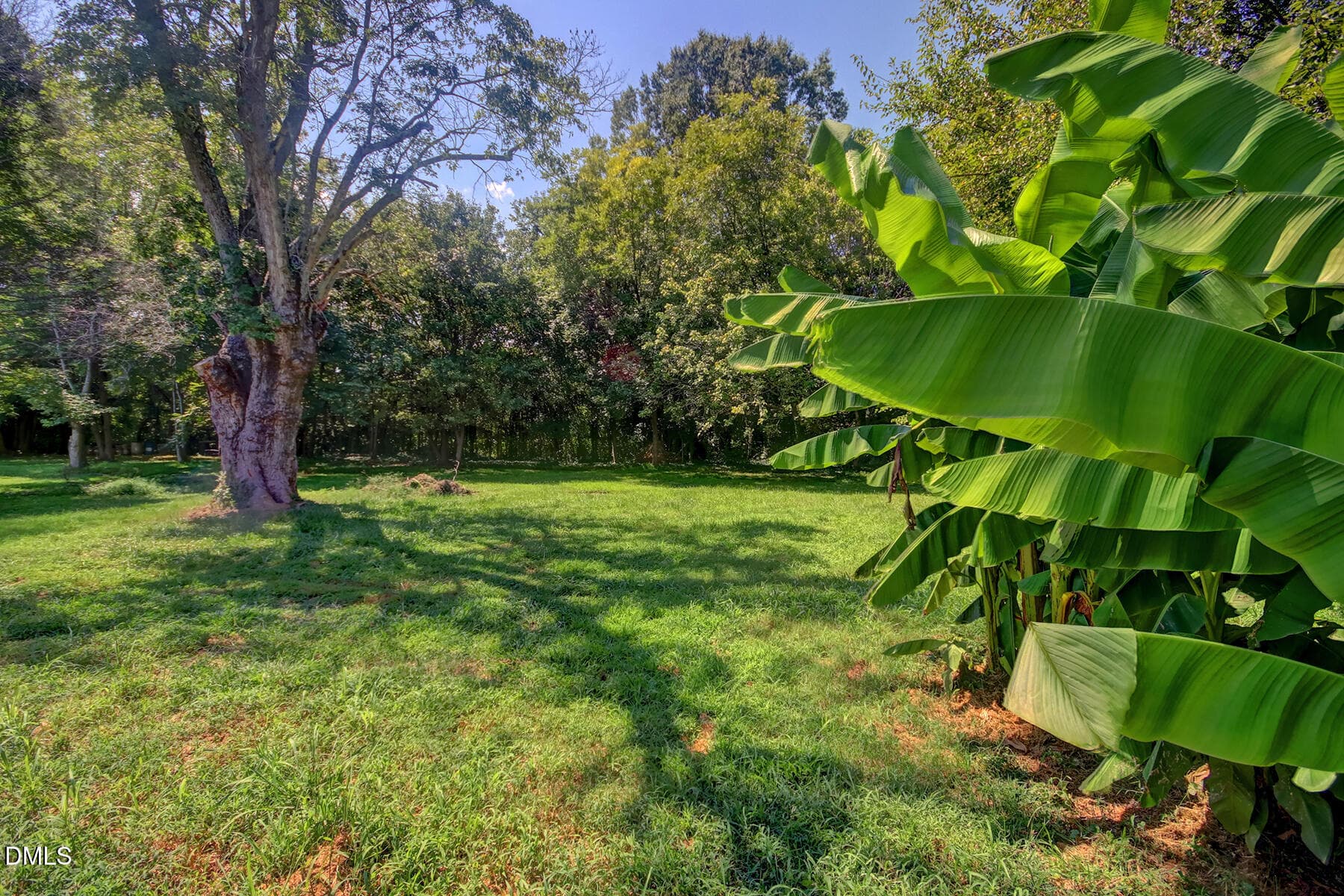Back yard - 132 N State Street, Haw River, NC 27258, Haw River