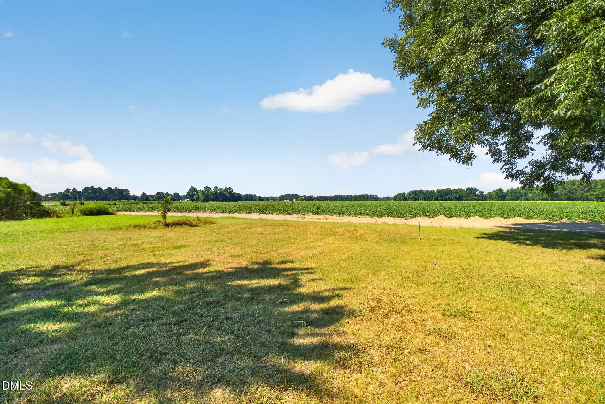 37-web-or-mls-DSC05157 - 7112 Wheat Swamp Road, Lucama, NC 27851