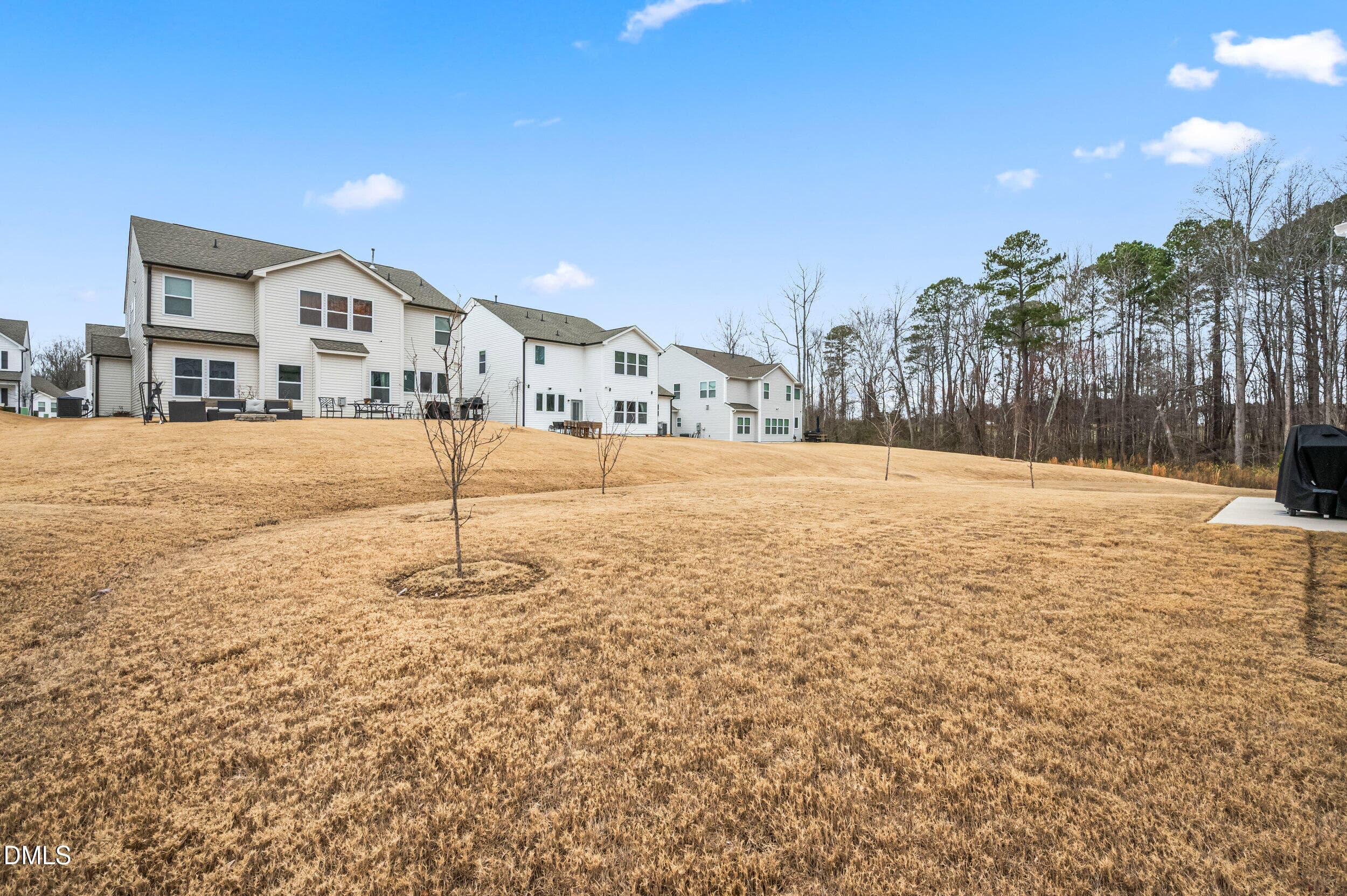 35_dsc_3531 - 1306 Andover Wood Road, Fuquay Varina, NC 27526, Fuquay Varina