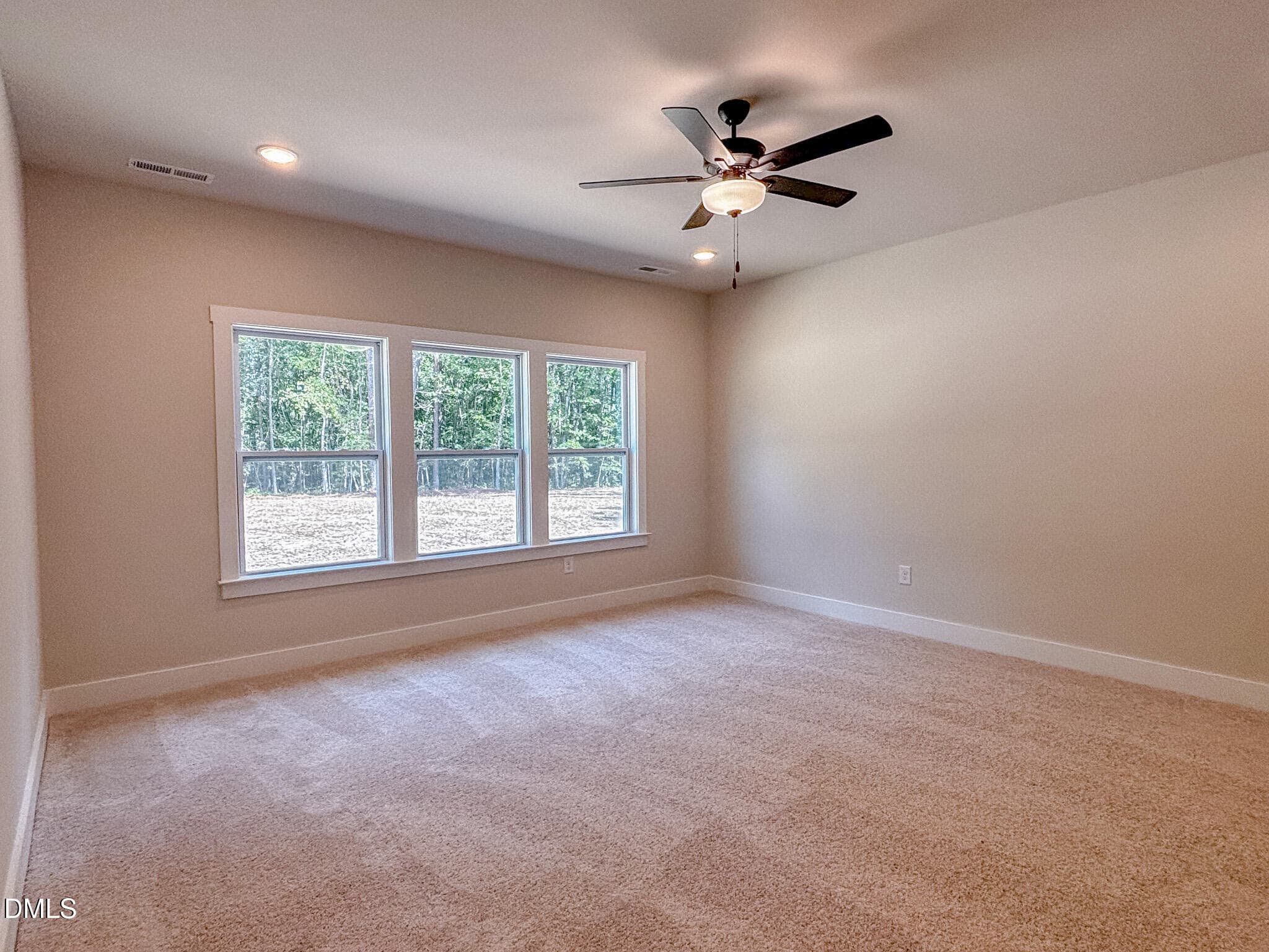 IMG_4970 - 145 Bluestone Drive, Lillington, NC 27546
