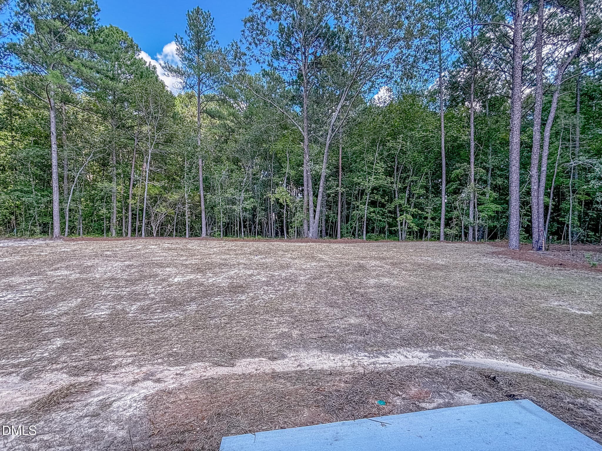 IMG_4990 - 145 Bluestone Drive, Lillington, NC 27546