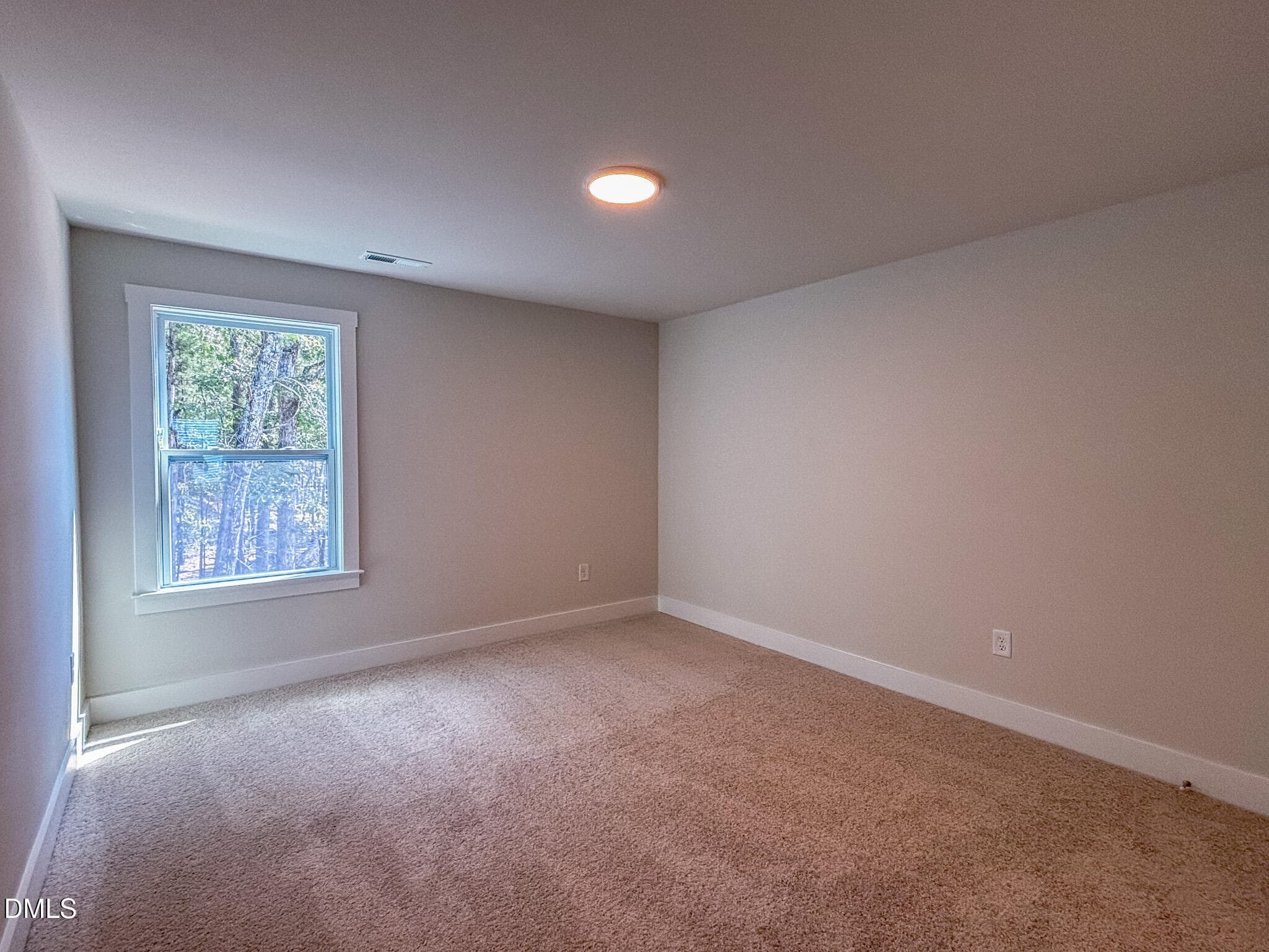IMG_4999 - 145 Bluestone Drive, Lillington, NC 27546
