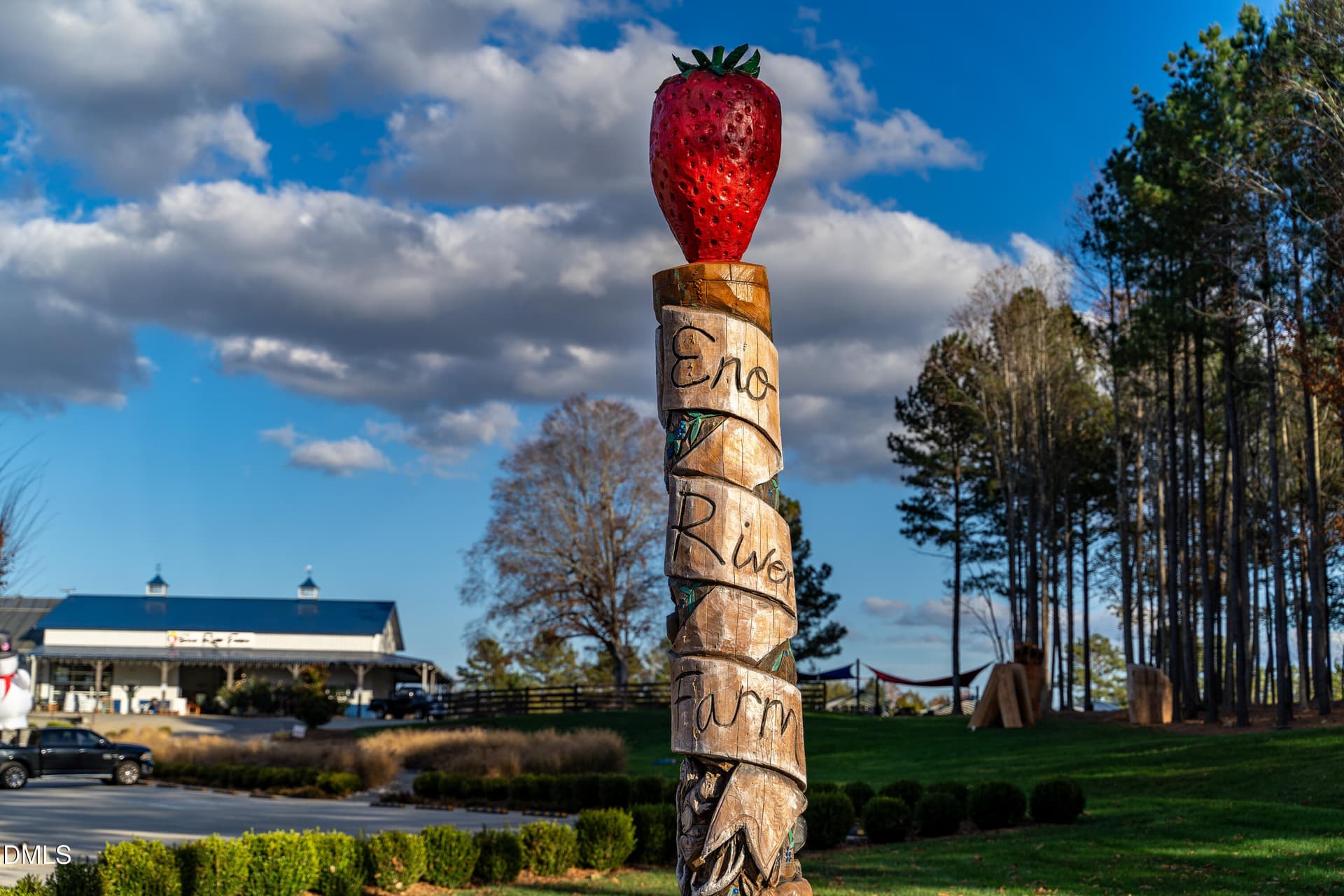 FoxHillFarmLot-19 - 256 Ellsworth Manor Drive, Hillsborough, NC 27278