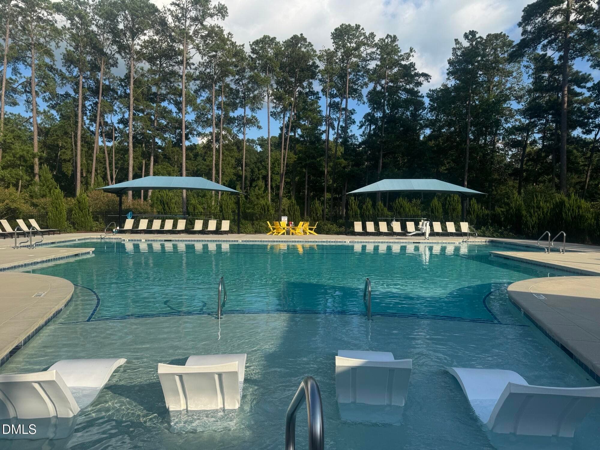 Encore pool 1 - 1737 Raven Falls Drive, Wendell, NC 27591, Wendell