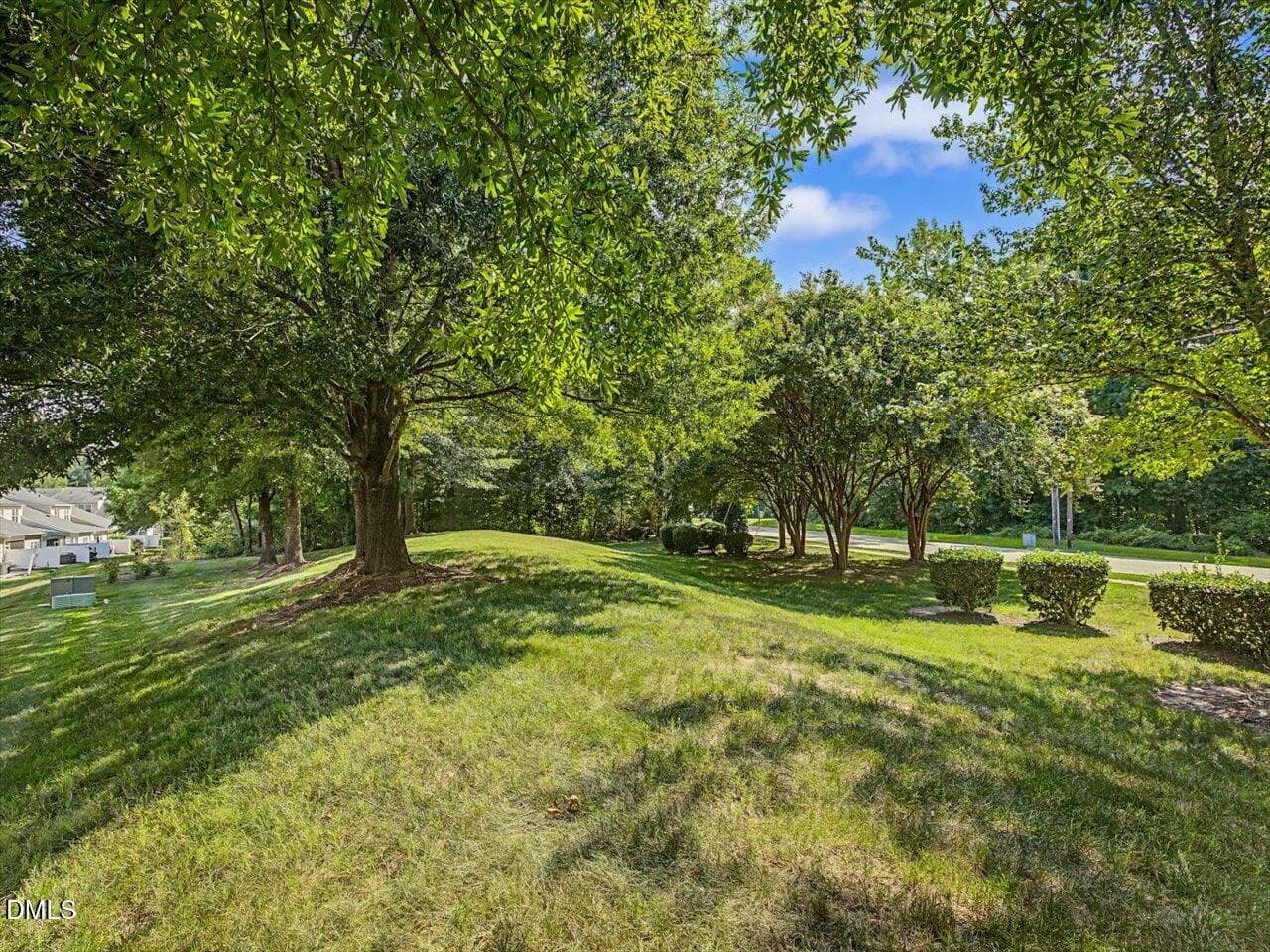 60-Backyard - 10163 Bessborough Drive, Raleigh, NC 27617, Raleigh