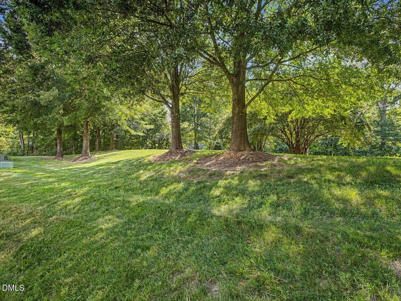 61-Backyard - 10163 Bessborough Drive, Raleigh, NC 27617, Raleigh