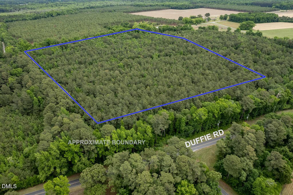 3Copy of MLS_22.25acres_Hoke-5 - 0 Johnson Pond Road, Red Springs, NC 28377