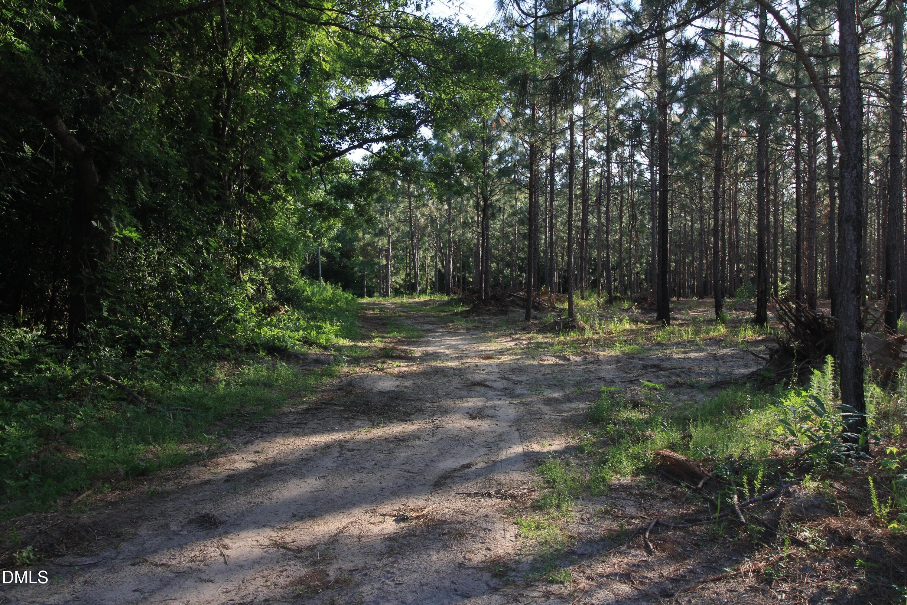 Copy of 8 - 0 Johnson Pond Road, Red Springs, NC 28377