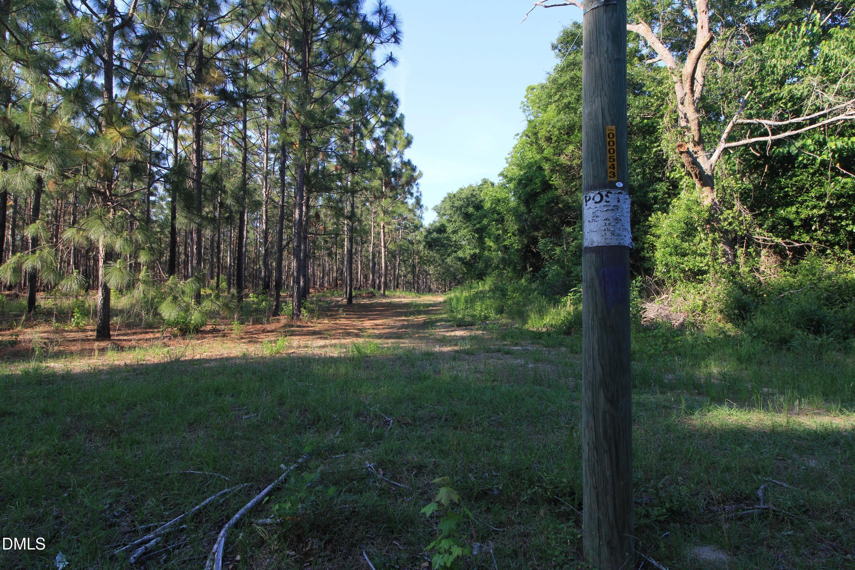 Copy of Ground North Parcel Access - 0 Johnson Pond Road, Red Springs, NC 28377