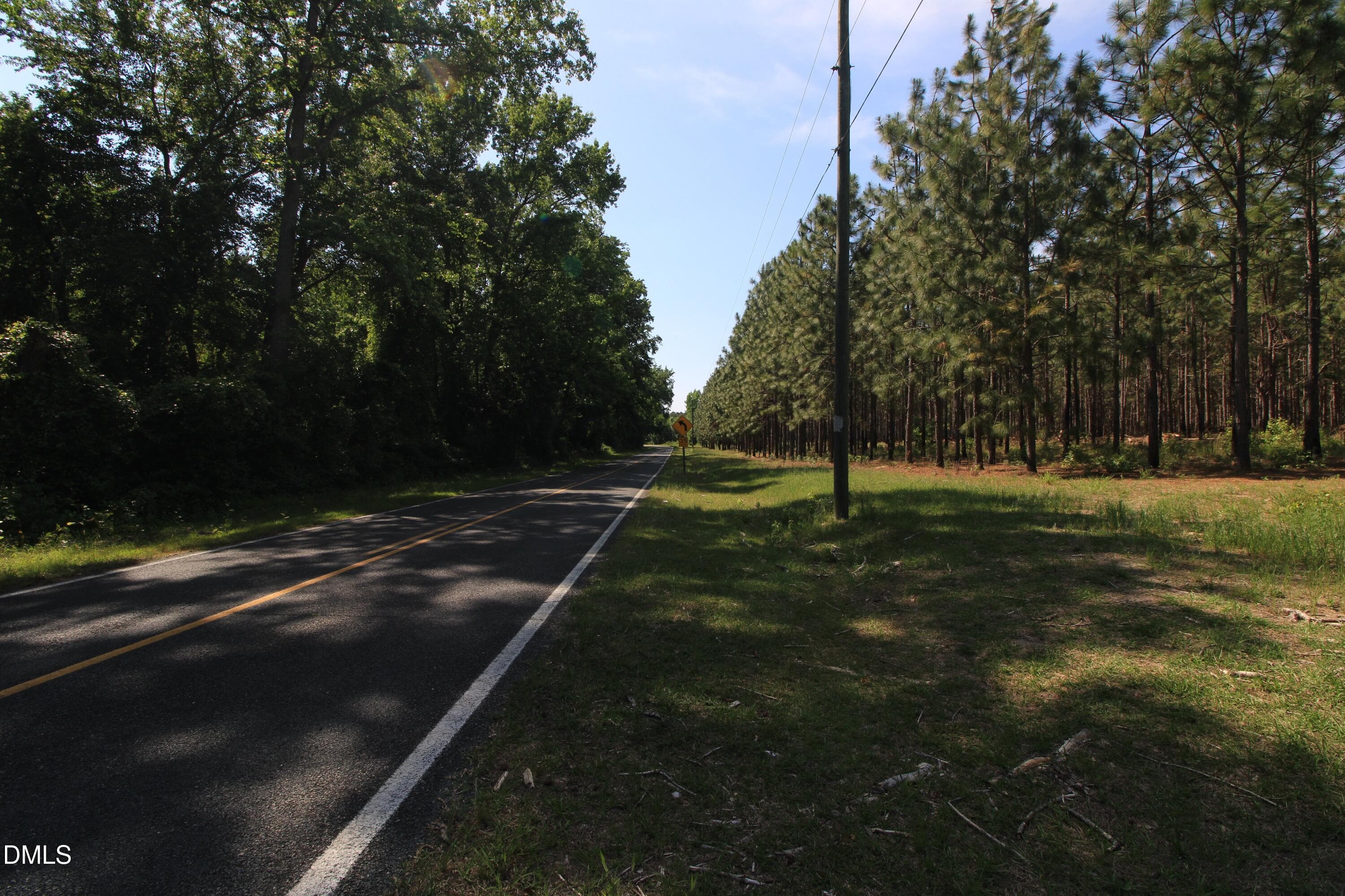 Copy of Ground North Parcel Frontage 4 - 0 Johnson Pond Road, Red Springs, NC 28377