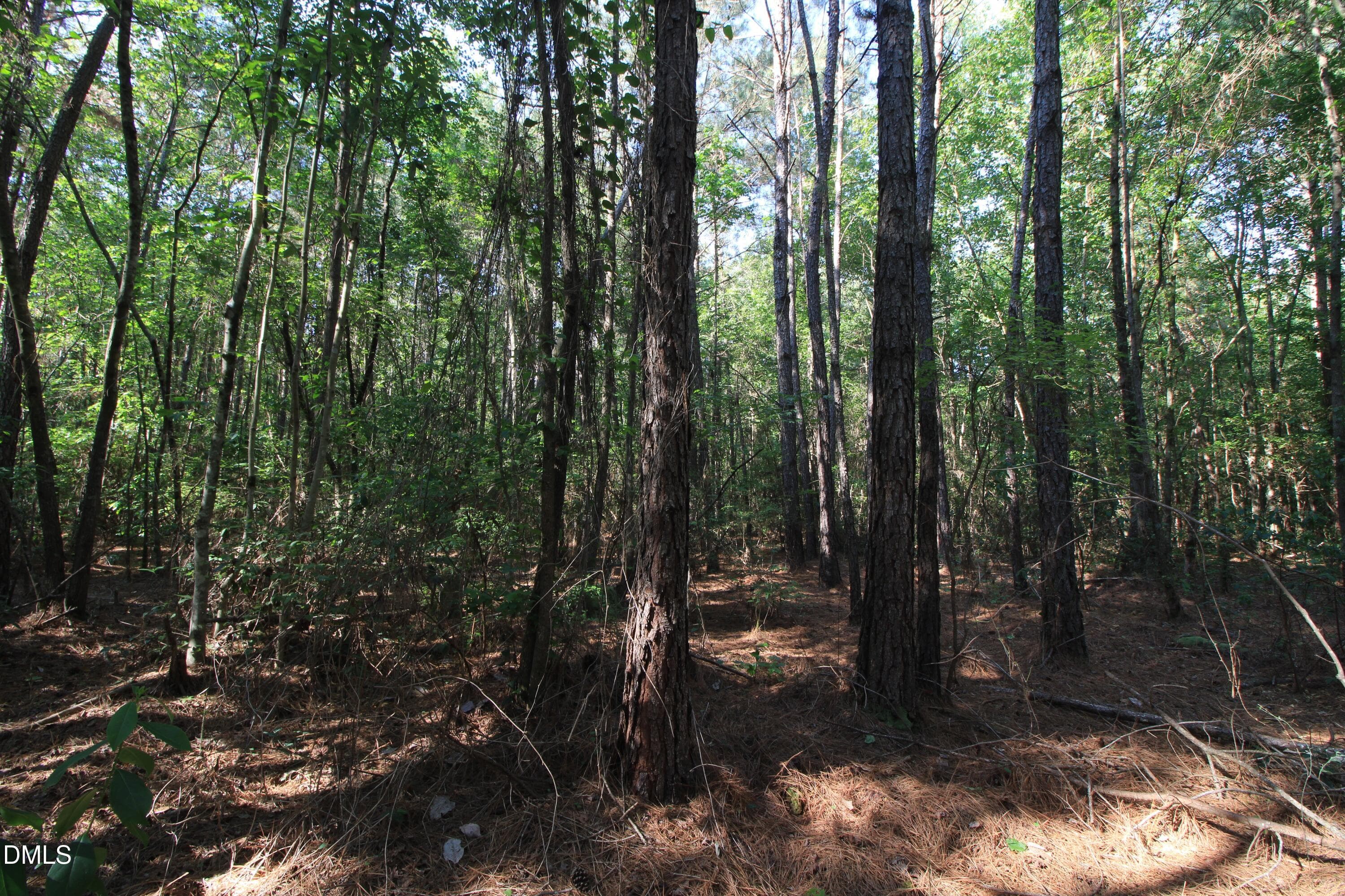 Copy of Ground West Parcel South Border - 0 Johnson Pond Road, Red Springs, NC 28377