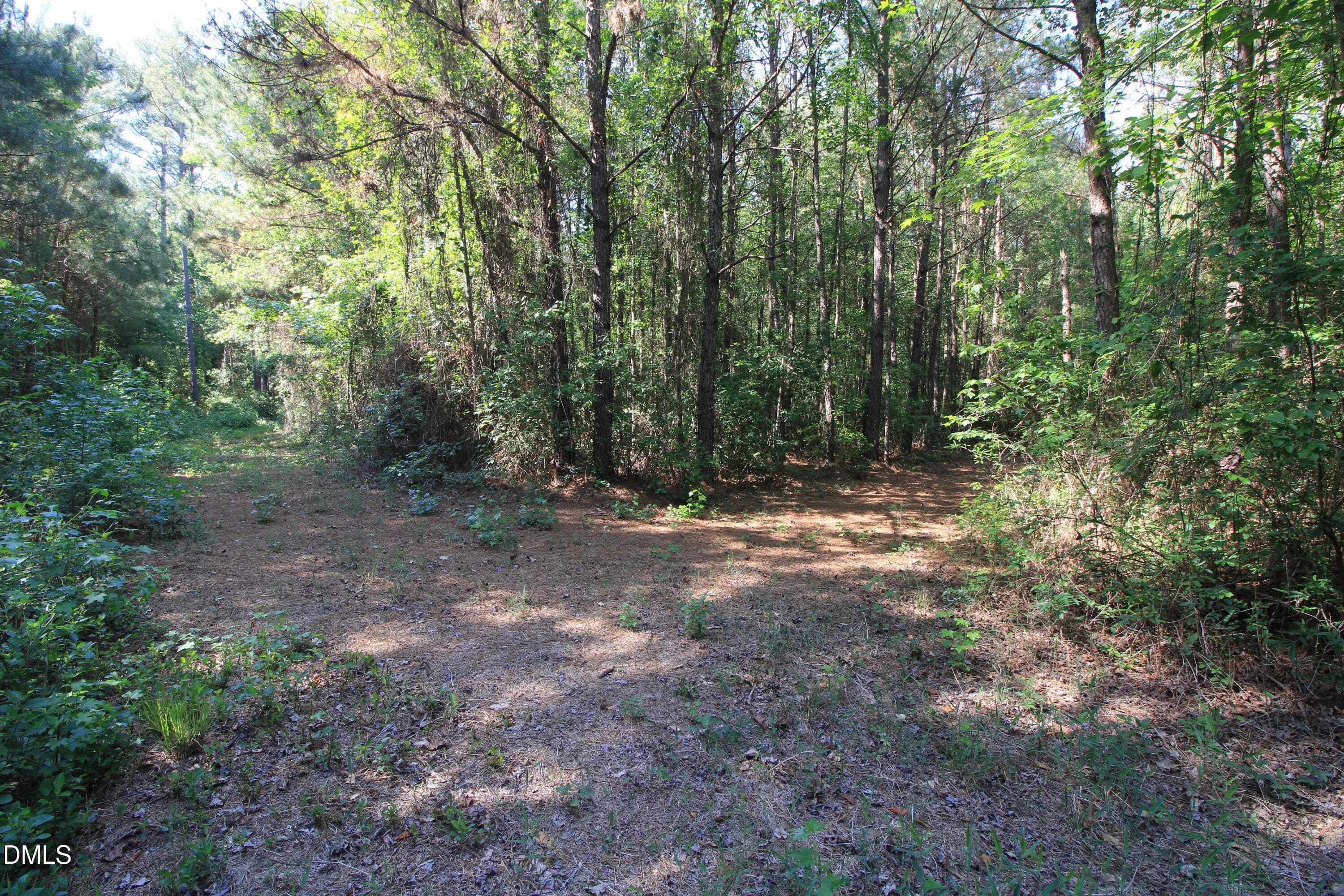 Copy of Ground West Parcel Trail Interse - 0 Johnson Pond Road, Red Springs, NC 28377
