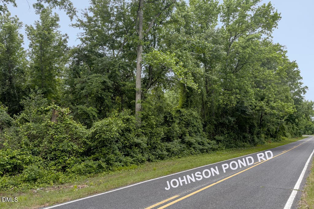 Copy of MLS_22.25acres_Hoke-11 - 0 Johnson Pond Road, Red Springs, NC 28377