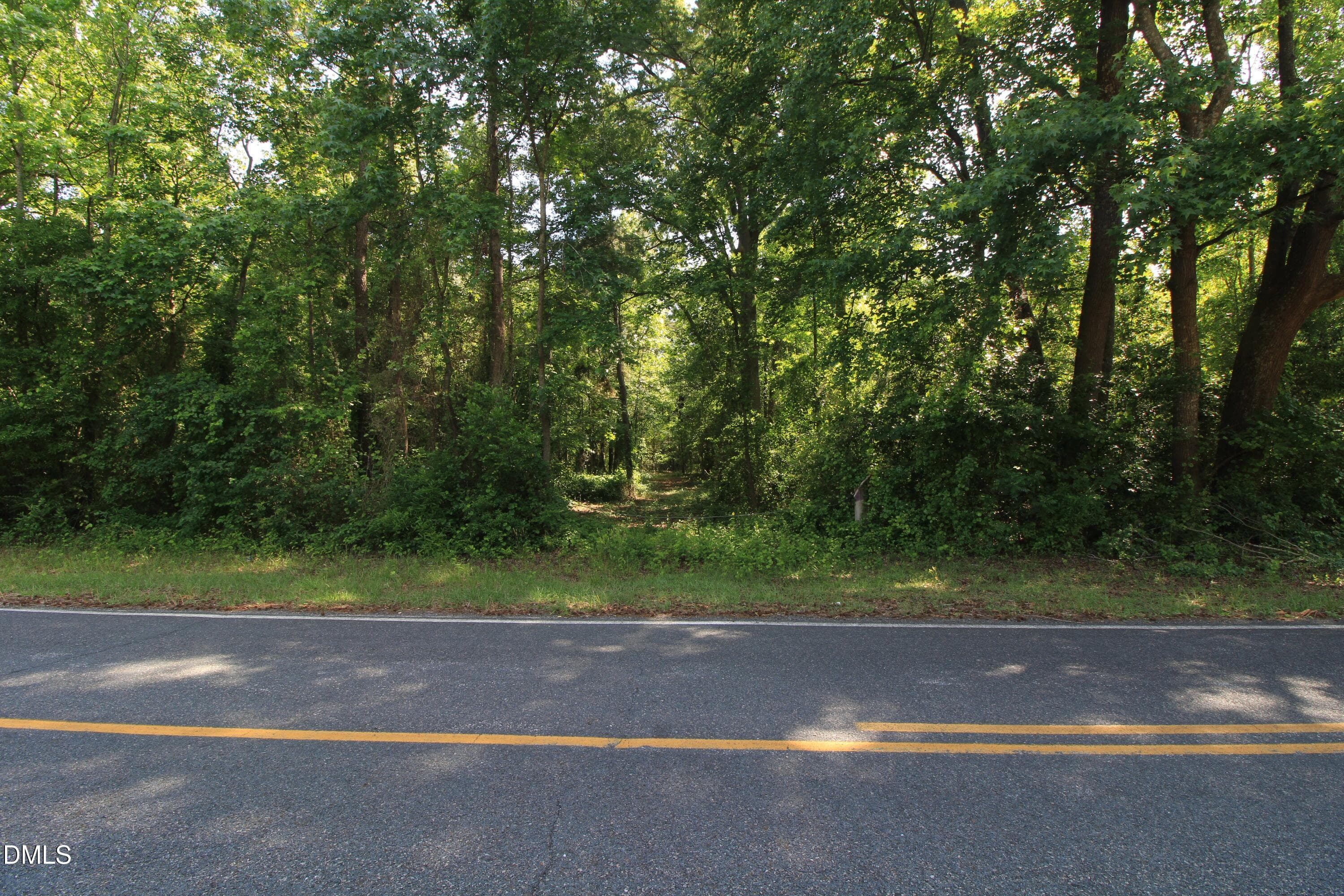 Ground West Parcel Frontage 5 - 0 Johnson Pond Road, Red Springs, NC 28377