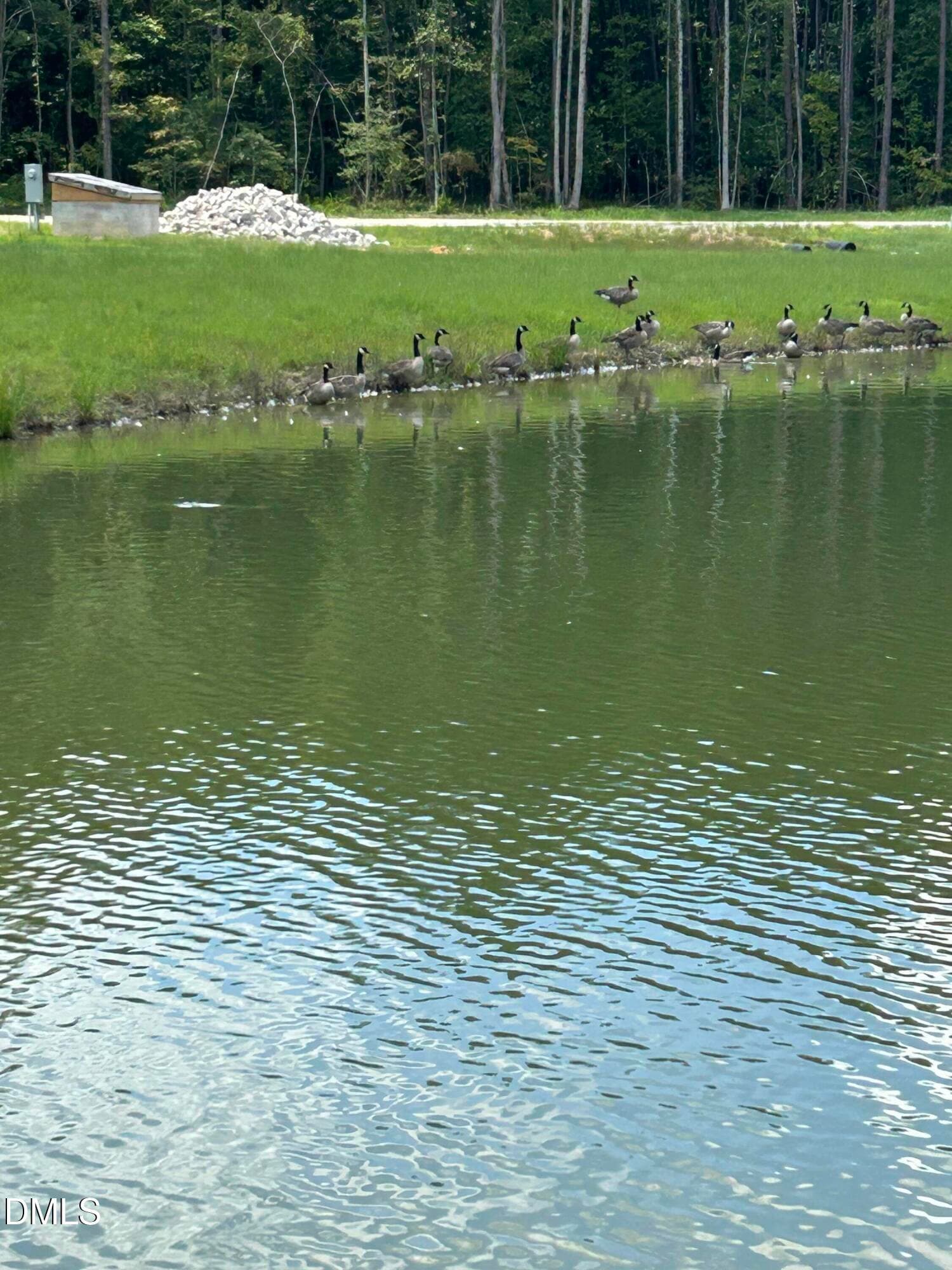 water views - 230 Bealy Farm Road, Zebulon, NC 27597, Zebulon