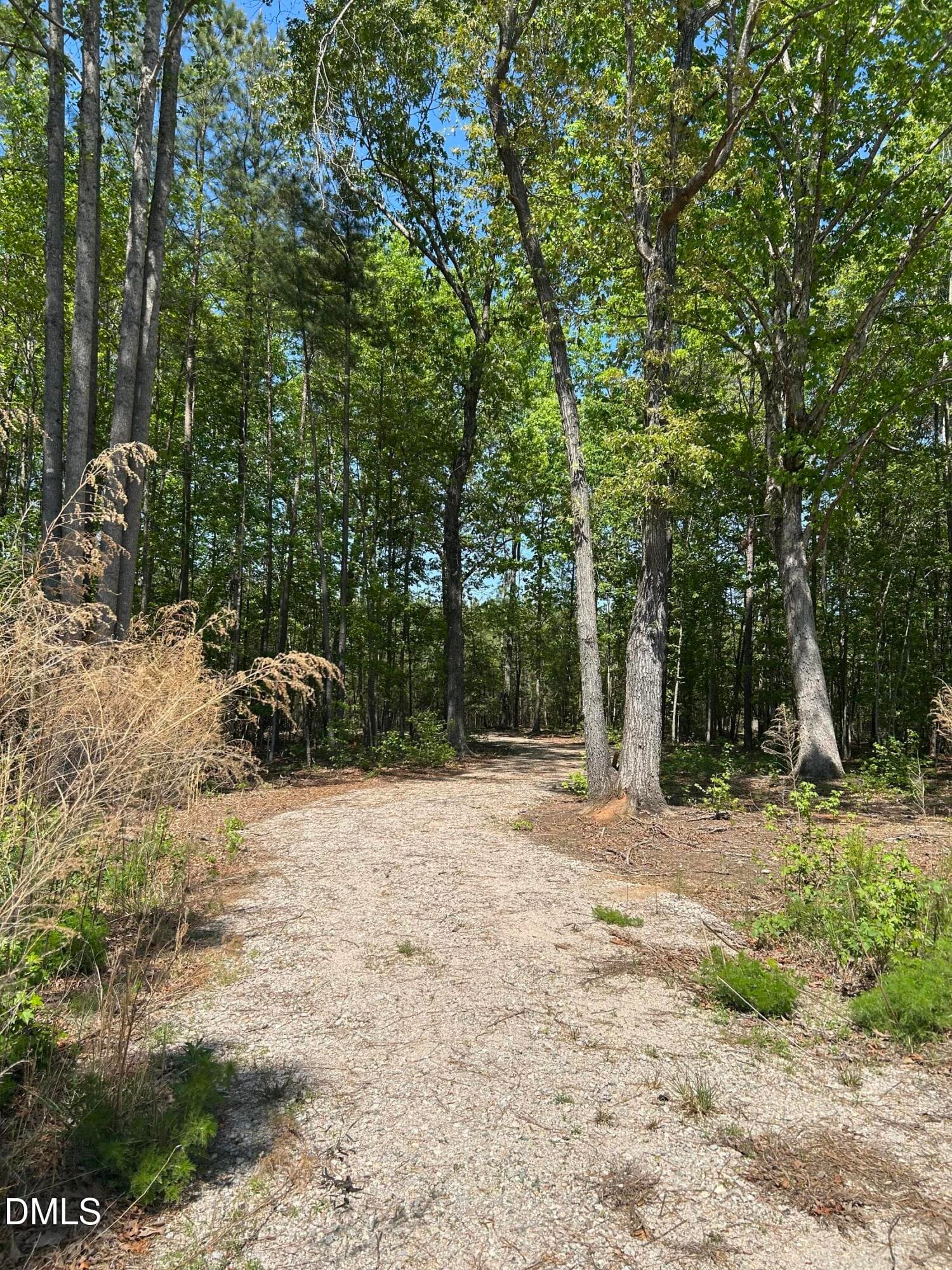 drivewaytorearoflot - 230 Bealy Farm Road, Zebulon, NC 27597, Zebulon