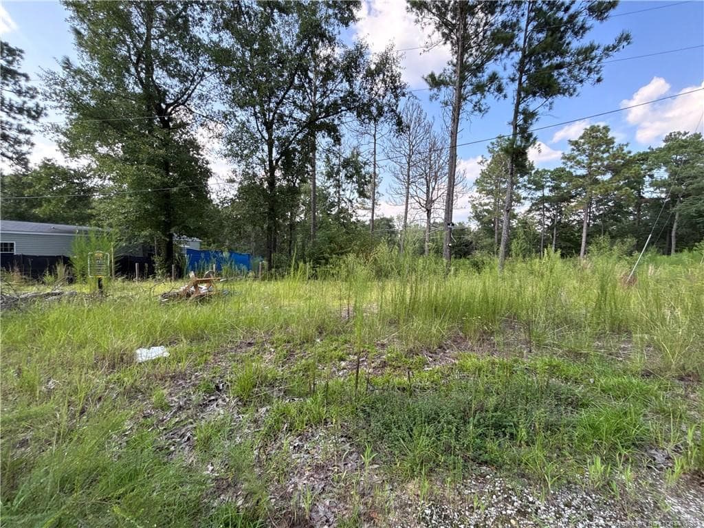 813 Wiregrass Road, Hamlet, NC 28345