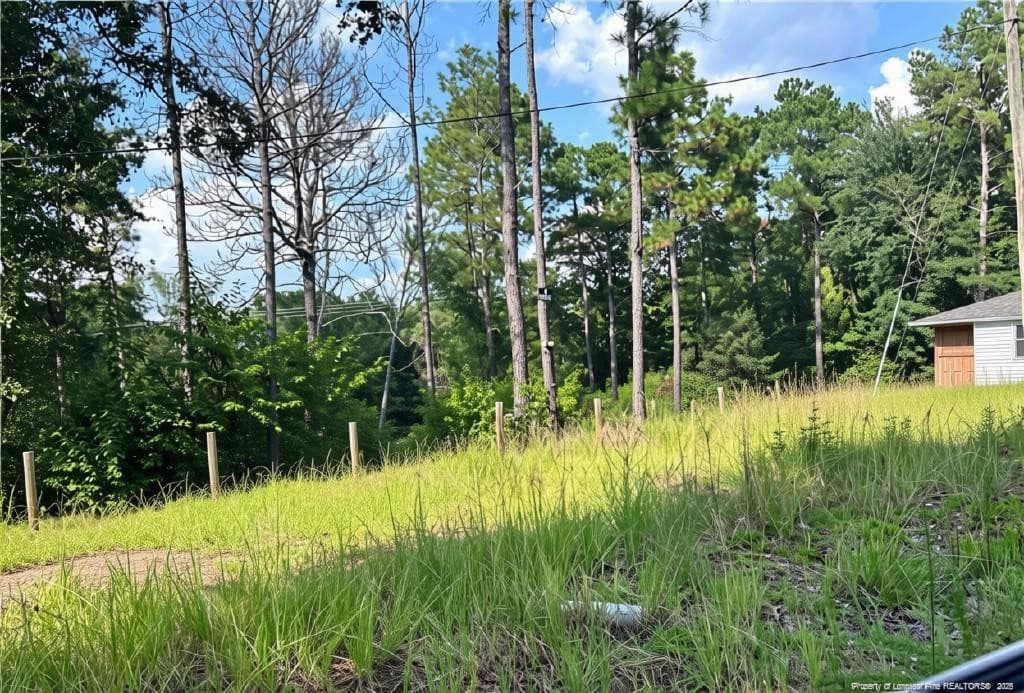 Photo 3 - 813 Wiregrass Road, Hamlet, NC 28345